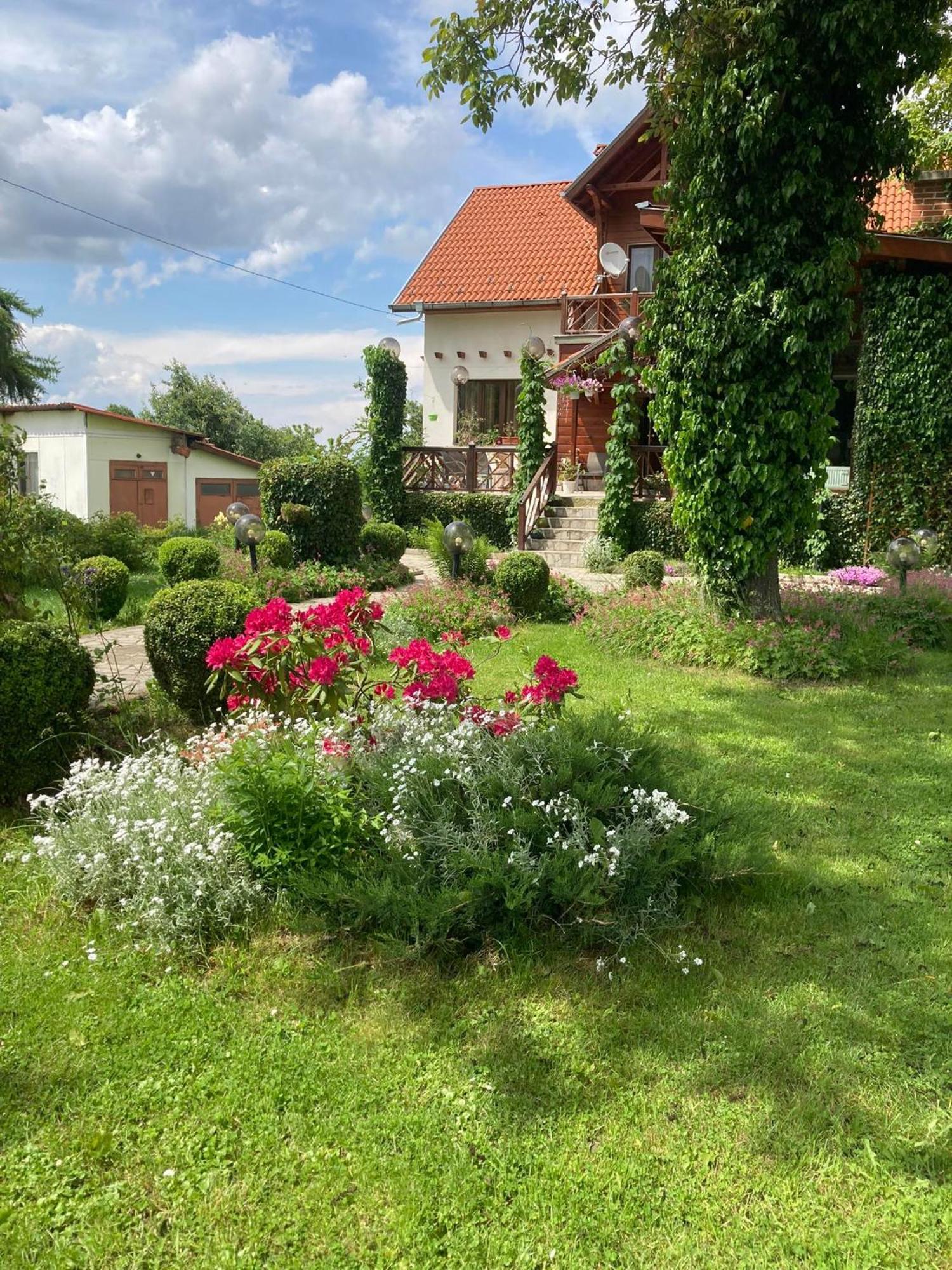 Orehite Guest House Samoko Dış mekan fotoğraf