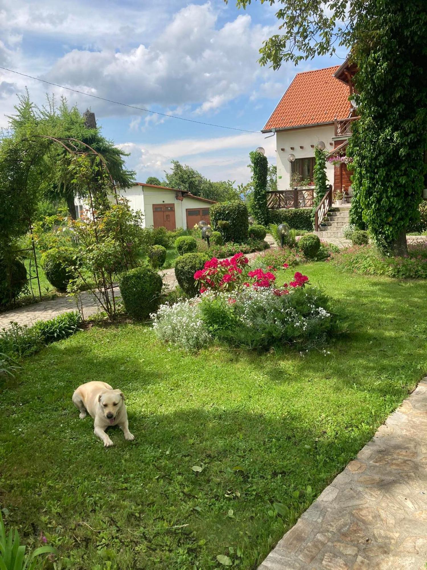 Orehite Guest House Samoko Dış mekan fotoğraf